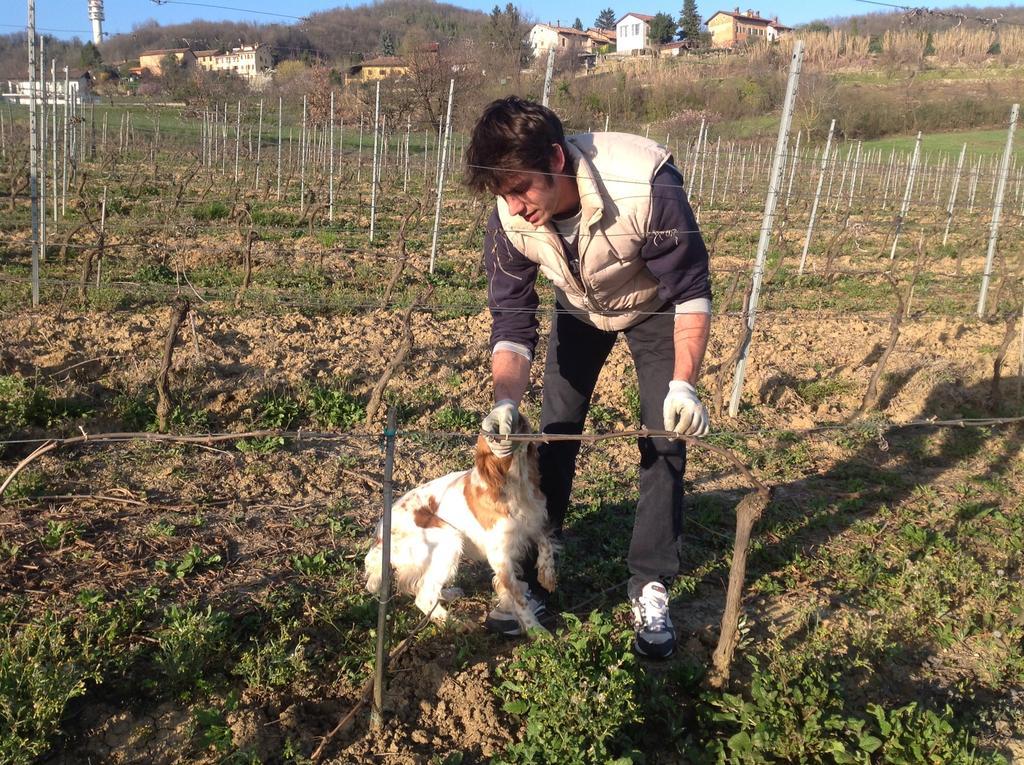 Azienda Agricola Garoglio Davide Alfiano Natta Eksteriør billede